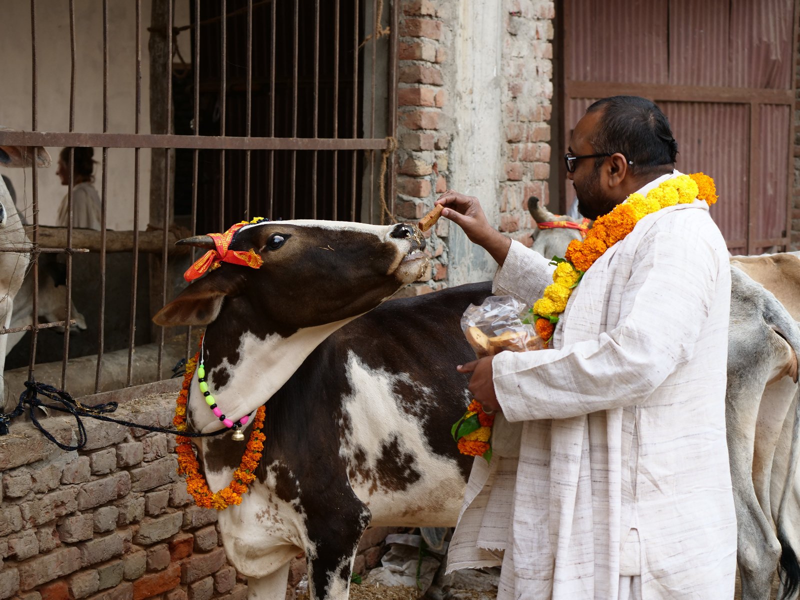  58 Gopashtami Radha kunda Govardhan 19.11.04